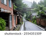 Road going through a Japanese torii gate in an abandoned village in Ehime, Shikoku, Japan