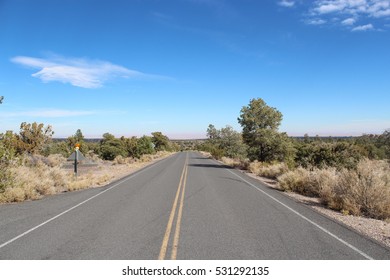 Road To Grand Canyon Through The National Park In Arizona, USA.