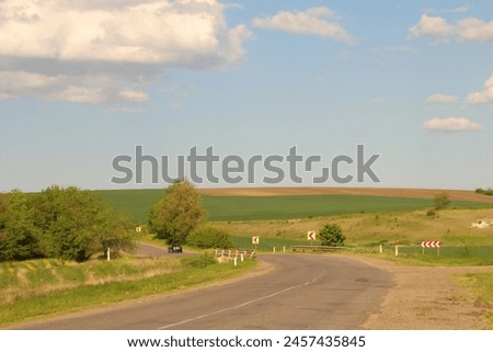 A road with grass and trees