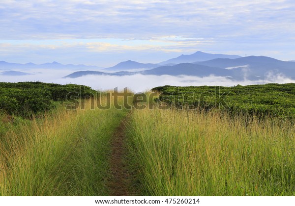 Road of grass to the valley of cloud on the top of\
mountain 