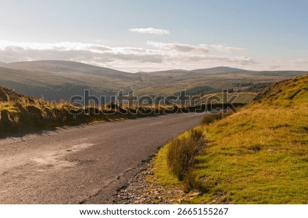 A road with a grassy hillside in the background. The road is empty and the sky is clear