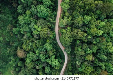 road and green trees from above in the summer forest,forest road - Shutterstock ID 2140971177