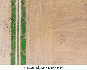 Road Green Trees In Meadow And Mowed Field With Sand In View Of Drone With Ground Lines