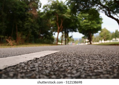 Road from the ground level - shallow depth of field and trees
