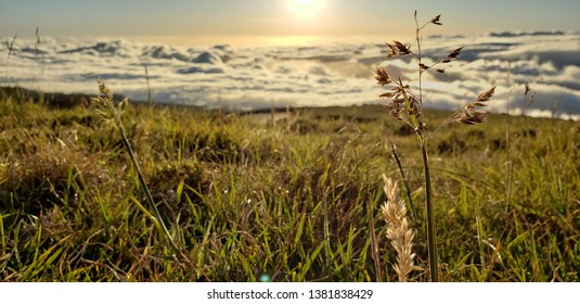 Road To Haleakala Sunset Above The Clouds 1