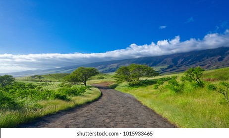 Road To Hana