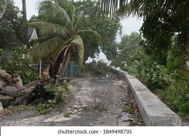 The road has been blocked by a tree felled in tropical storm Eta
