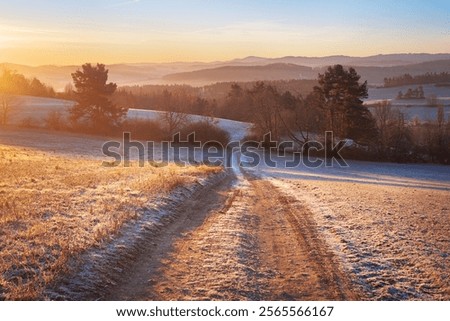 road heading towards mountain range at sunrise. Frozen landscape with trees without snow