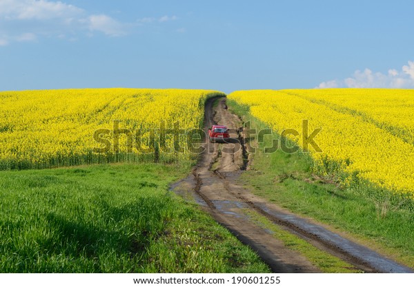 Road\
to heaven with red car  in the midst of rape\
field