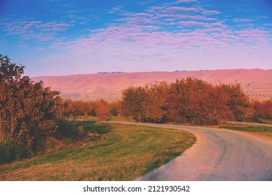 Road In Hula Valley During Sunset. View From Car. Israel