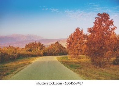 Road In Hula Valley. View From Car. Israel