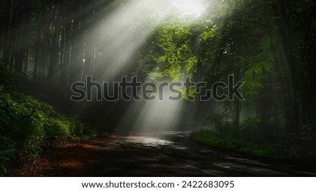 The road is illuminated by sun rays breaking through the fog in the mountains