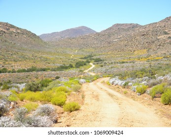 Road into the distance