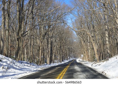 Road Into The Forest In Winter - Shenandoah National Park, Virginia