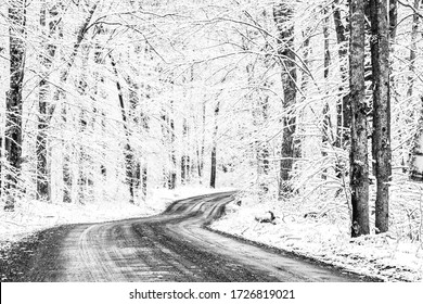 A Road Into Winter, In Spring. A Late Spring Snowstorm In May In New England