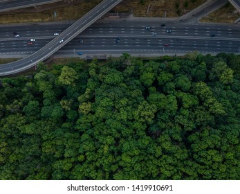 Road Junction Top View. Highways And Forest. Traffic In The City. Aerial View