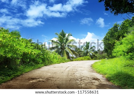 road in jungle of La Digue island, Seychelles