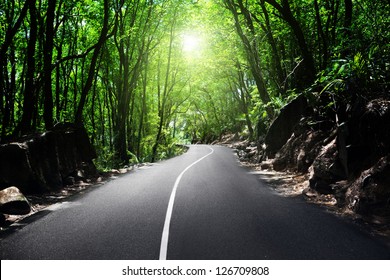 Road In Jungle Of Seychelles