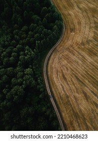 Road Landscape Dron Fields Forest