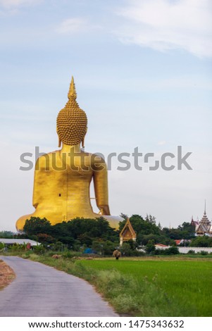 The road leading to the farmer who is carrying straw from the rice plant to feed the animals beside the temple with a large golden Buddha statue.