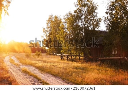the road leading into the forest is illuminated by the setting sun. rural scenery
