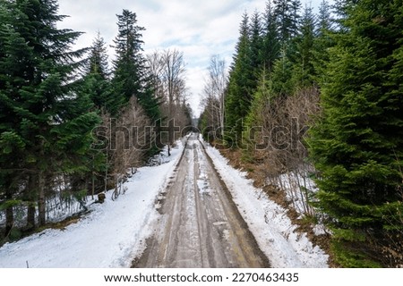  road leading through a snow-covered forest. Polish mountains in winter.
