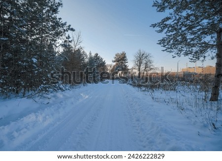 The road leading through the snow-covered forest near the steelworks just before sunset.A pine forest covered with heavy snow, with the sky darkening above and the sun setting.