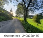 Road leads through idyllic landscape: rolling green hills and blue sky in Lower Austria