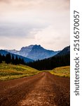 Road leads through Lamar Valley with mountain views and trees