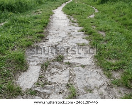 Similar – Image, Stock Photo Continue Trip Hiking Legs