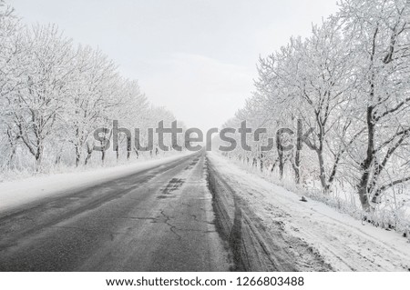 Similar – blow snow Landscape Winter