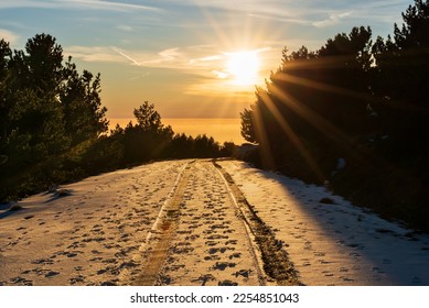 Road lined with trees and covered with snow with the marks of an SUV and the tracks of the mountaineers on the south face of the Sierra Nevada, with the sun shining in the background at sunset. - Powered by Shutterstock - Get 15% off with code: PIKWIZARD15