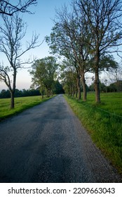 A Road Lost In Nature.