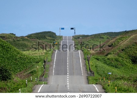 A road with many ups and downs through the hills
