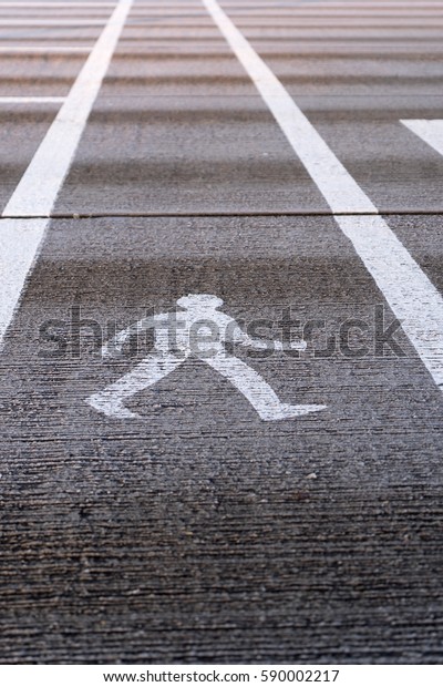 Road\
marking pedestrian walking lane painted on the\
road