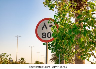 Road Maximum Speed Sigh On S Street And Tree Leaves 