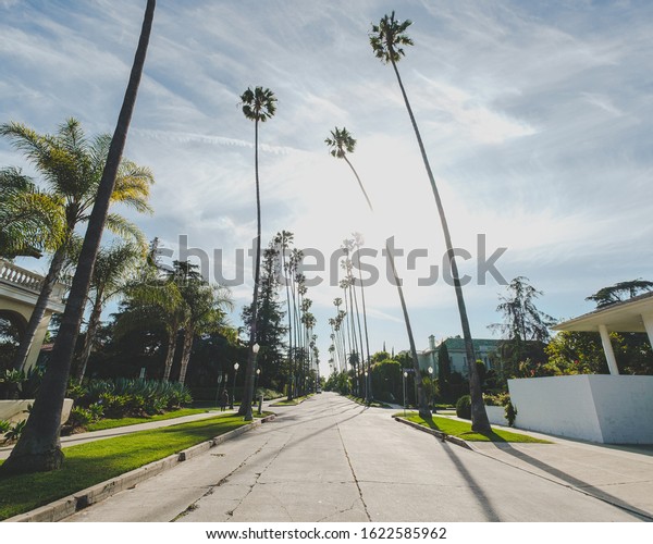 A road in the middle of buildings and palm trees\
under a blue cloudy sky