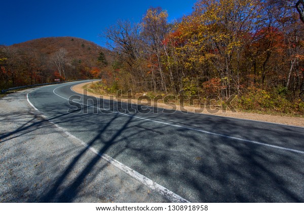 The road\
in the middle of a colorful autumn\
forest