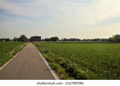 Road In The Middle Of Fields That Leads To A Country Manor In The Distance At Sunset