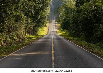 Road in the middle of the forest and ascending to the top of the hill. in Khao Yai National Park, Thailand. - Shutterstock ID 2290402253