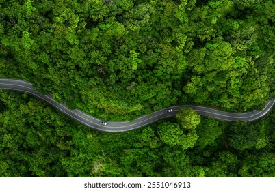 Road in the middle of the forest Concept of using electric cars to protect the environment and transportation , Rainforest ecosystem and healthy environment concept	