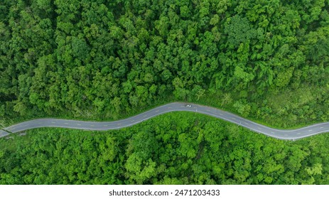 Road in the middle of the forest , road curve construction up to mountain, Rainforest ecosystem and healthy environment concept	 - Powered by Shutterstock