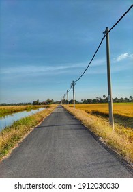 Road in the middle of a paddy field in Kedah Malaysia