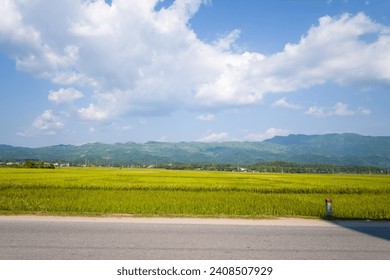 A road in the middle of the valley and green rice fields, Asia, Vietnam, Tonkin, Dien Bien Phu, in summer, on a sunny day. - Powered by Shutterstock