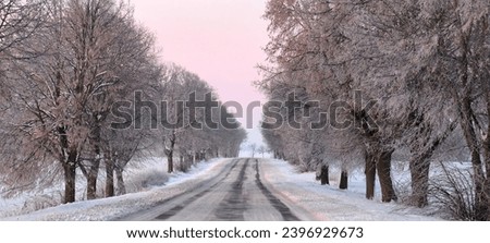 Road, morning, dawn, winter, snow-covered road 