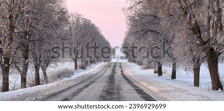 Road, morning, dawn, winter, snow-covered road 