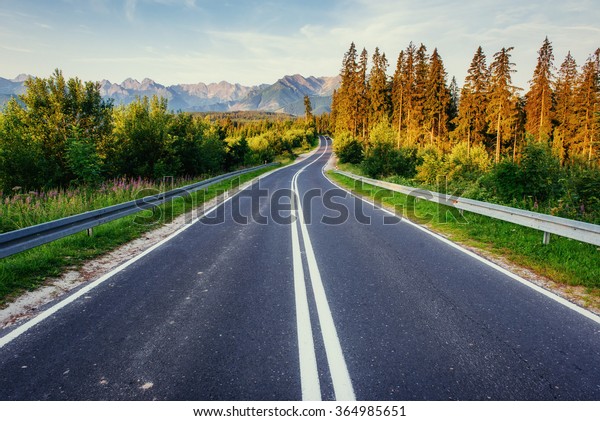 road in mountains. Good\
lighting tree with sunlight in summer day. Carpathian, Ukraine,\
Europe.