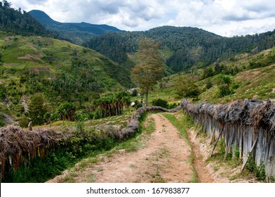 Road In Mountains, New Guinea 