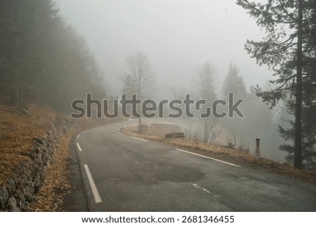 road to the mountains in winter