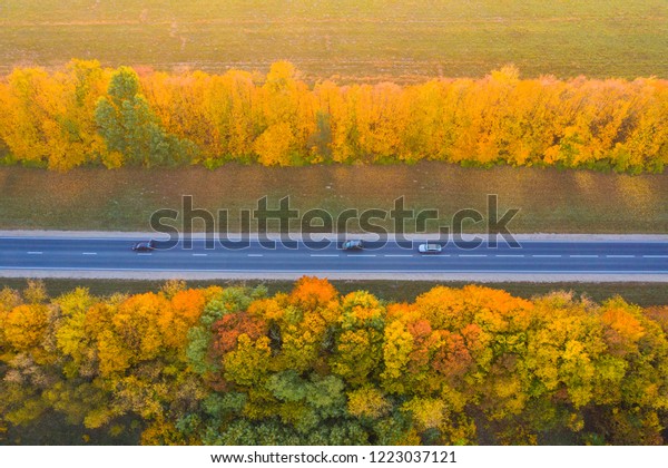 Road with moving cars. Aerial view. Straight road\
with trees with yellow foliage on the roadside in the autumn sunny\
morning. Theme autumn\
travel.